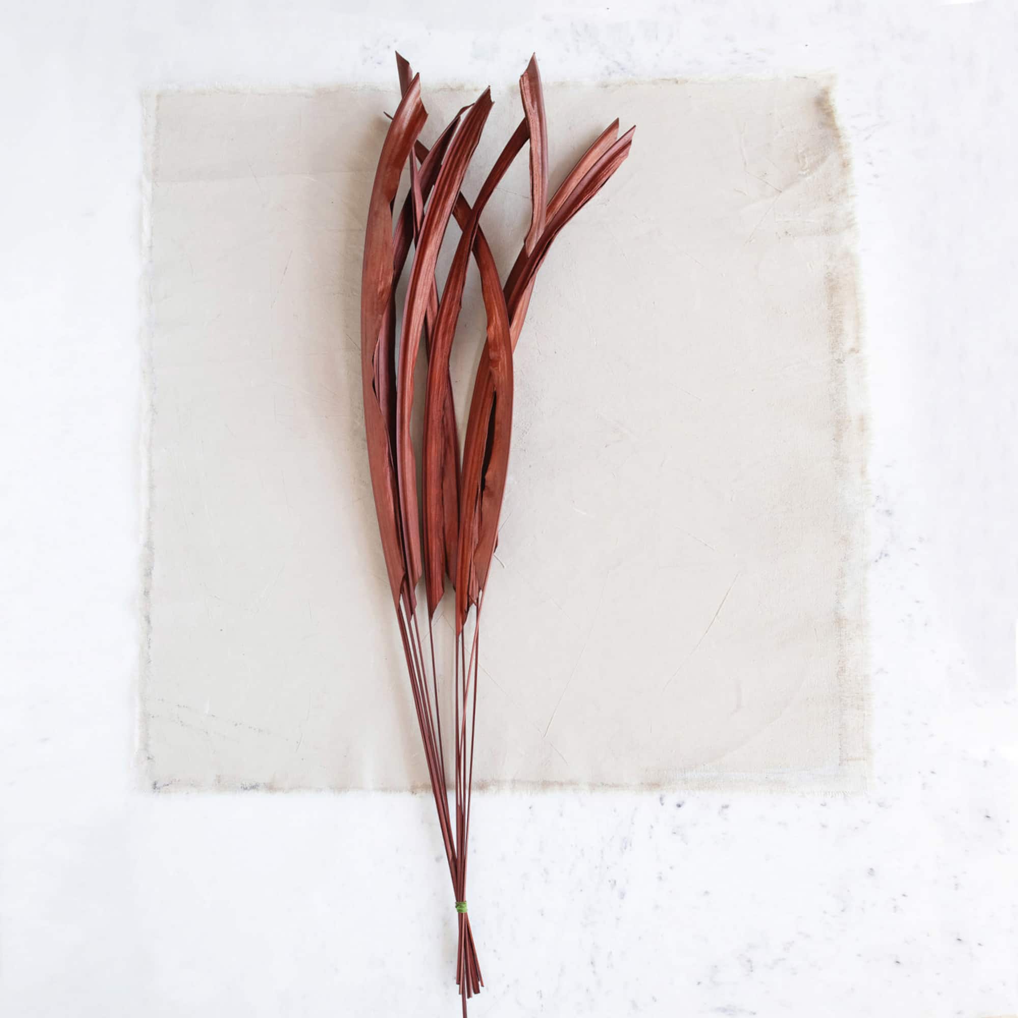 Hello Honey® 36" Brown Buri Palm Leaf Pick
